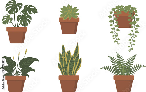 Potted house plants set, indoor decorative foliage, Monstera, Peace Lily, Snake Plant, gardening vector