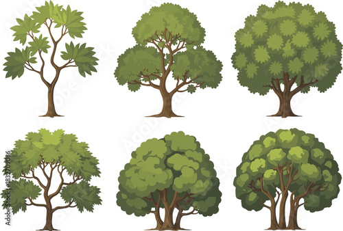 Realistic green trees set, various deciduous species, summer season foliage, nature and organic graphic illustration