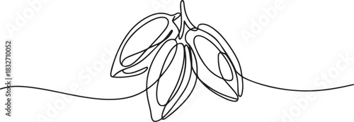 Continuous one line drawing whole healthy organic cocoa beans for plantation logo identity. Fresh cacao bean concept for chocolate drink shop icon. one line Icon drawing