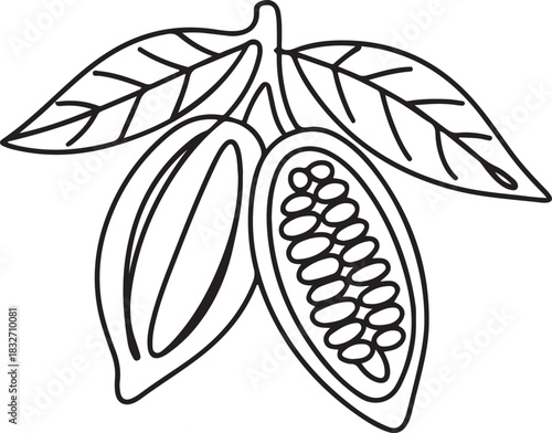 Continuous one line drawing whole healthy organic cocoa beans for plantation logo identity. Fresh cacao bean concept for chocolate drink shop icon. one line Icon drawing