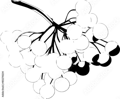 Silent whispers forest | Clean, isolated vector art for creative projects.