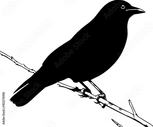 Silent Sentinel Bare Branch: Black Crow Flight | Clean, isolated vector art for creative projects.