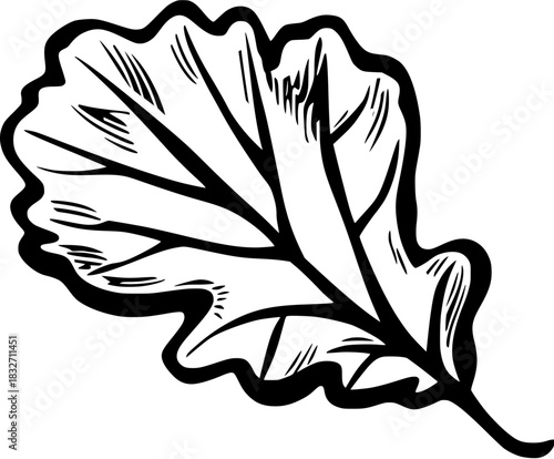 Whispers Autumn: Falling Oak Leaf | Clean, isolated vector art for creative projects.