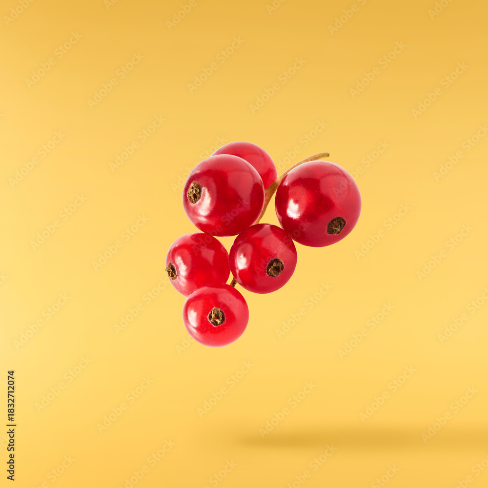 Fototapeta premium Fresh Ripe Red Currant berries falling in the air isolated on yellow background