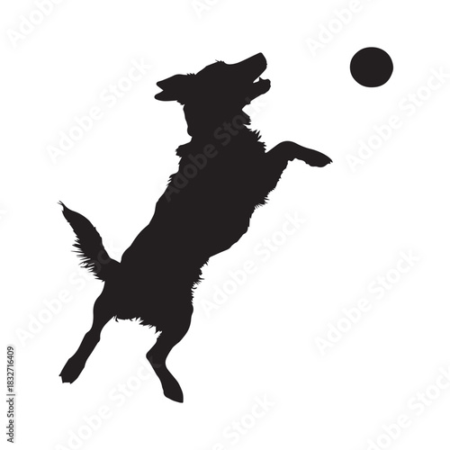 dog playing soccer on white background silhouette