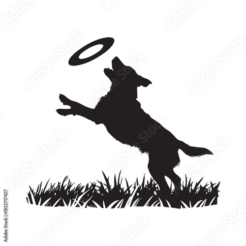 black dog play  on grass silhouette