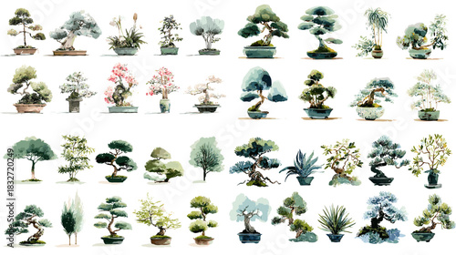 A serene collection of bonsai and miniature artistic trees featuring natural forms, delicate foliage, and refined botanical details suitable for garden and design themes.