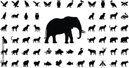 Large collection of diverse animal silhouettes including elephant, birds, cats, dogs, insects, fish and wildlife icons for design and illustration projects