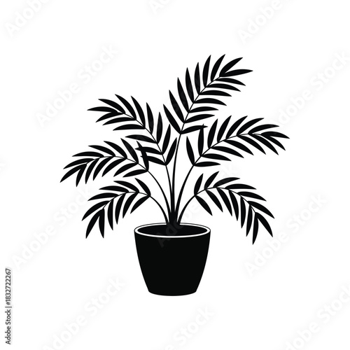 Palm plant in a modern black ceramic pot, silhouette vector design on a white background