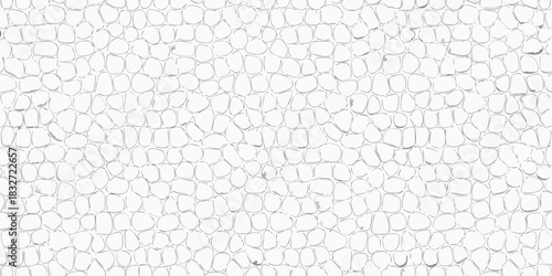 White crocodile skin pattern reptile texture abstract background
