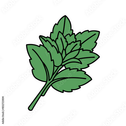Stylized green mint leaves with a white outline on a black background a simple and clean vector art sticker design promoting freshness and natural ingredients