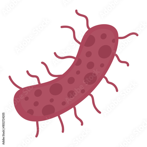 Salmonella Bacteria Icon