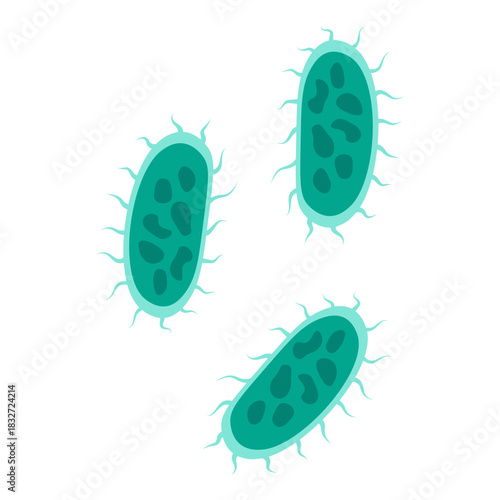 Salmonella Bacteria Icon