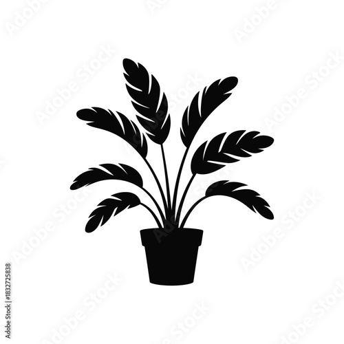  potted Bird of Paradise plant against, silhouette vector design on a white background