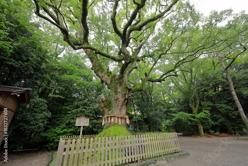 Atsuta jingu Shrine, a revered Shinto shrine surrounded by cypress trees in Jingu, Atsuta Ward, Nagoya, Aichi, Japan
