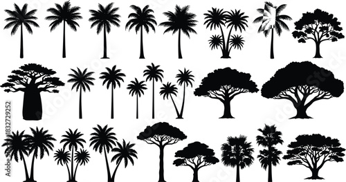 Diverse Tropical Palm Tree and Broadleaf Silhouettes Collection: Baobab, Coconut Palm, and Various Trees, Detailed Nature Foliage Vector Illustration Set, Isolated on White.
