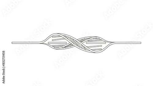 whisk isolated on white background