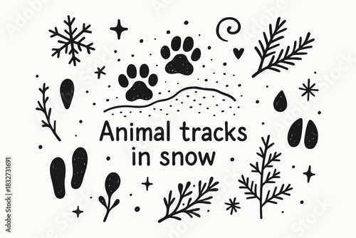 Animal Tracks Doodle. Animal tracks in snow. Hand-drawn doodle illustration of Animal tracks in snow. In the
