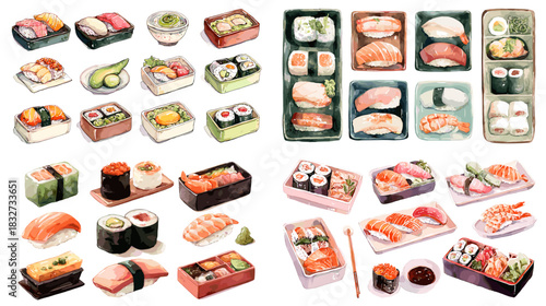 A collection of assorted sushi illustrations featuring fresh ingredients, detailed textures, and artistic watercolor styling suitable for food design and culinary themes.