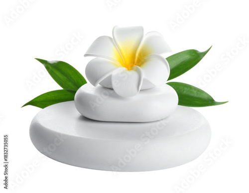 Spa Wellness Composition with Frangipani Flowers and Massage Stones isolated with white background