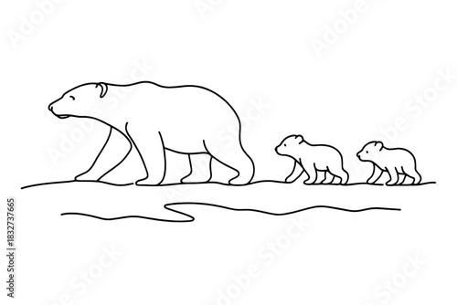 Minimalist Bear Family. Arctic wildlife family. Minimalistic one-line drawing adult bear leading cubs across