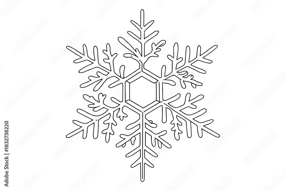 custom made wallpaper toronto digitalElegant Ice Flake. Frozen crystal macro. Minimalistic one-line drawing detailed ice crystal snowflake with