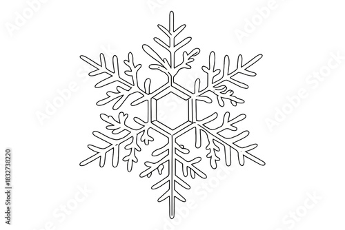 Elegant Ice Flake. Frozen crystal macro. Minimalistic one-line drawing detailed ice crystal snowflake with