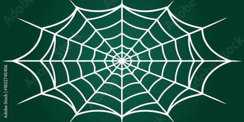 Spider Web Vector Illustration . Clean Minimal Line Art Design.