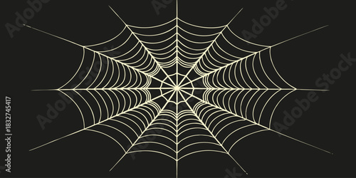 Detailed Symmetrical Spider Web Illustration on Dark Background.