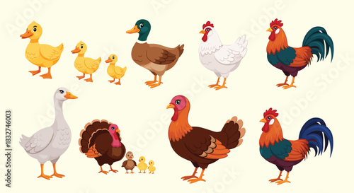An illustration showcasing a variety of domestic farm birds, including ducks, geese, turkeys, roosters, hens, and their cute chicks, standing on a plain background.