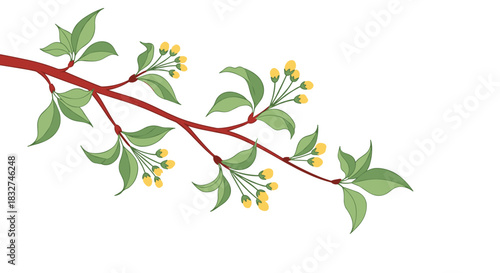 A delicate branch with small yellow buds and green leaves.