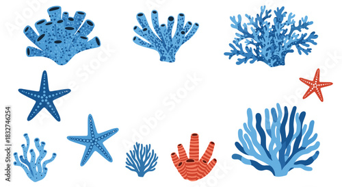 A beautiful collection of marine life including colorful corals and starfish.