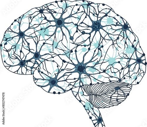 Stylized human brain composed of an intricate network of interconnected neurons on a white background.