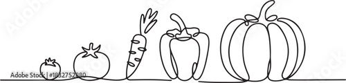 Continuous one line drawing. Vegetables different size from small till big.one line  vector illustration  with out background