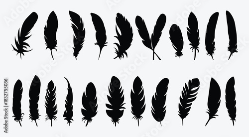 Isolated Feather Icon Vector Pack