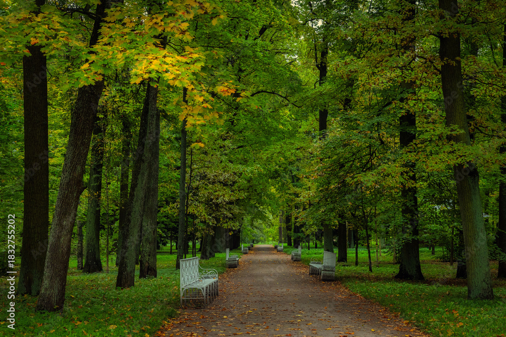 Naklejka premium Landscape of Catherine Palace and Gardens in St. Petersburg, Russia