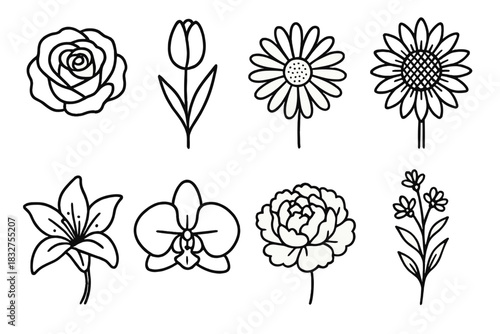Floral Line Art Icons. Flower varieties linear icon set: rose bloom, tulip stem, daisy head, sunflower, lily petal, orchid, peony cluster, wildflower sprig