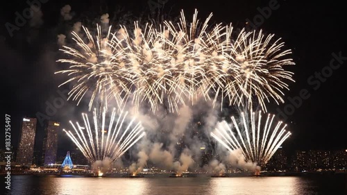 Fireworks burst over a dark waterfront with city buildings visible in the distance