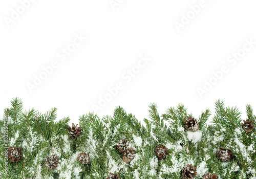 Snow covered fir branches with pine cones forming dense lower border on clean white background, natural evergreen winter garland with wide copy space above, perfect for Christmas greeting cards, 