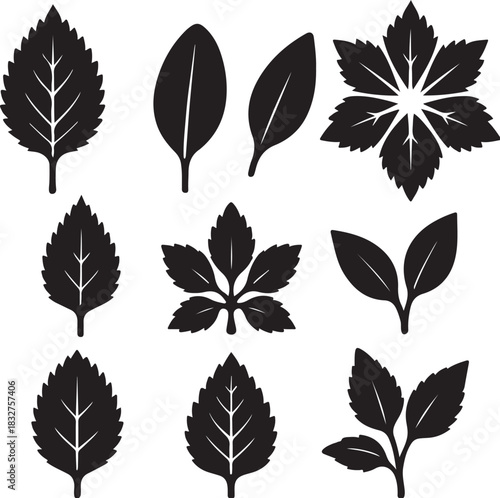 Vietnamese Balm Leaf Silhouette Icon Set.eps