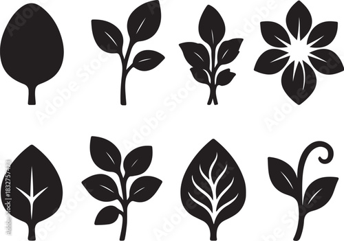 Malabar Spinach Leaf Silhouette Icon Set.eps