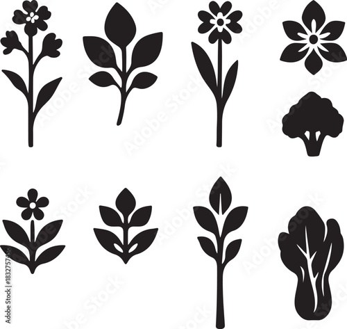 Choy Sum Flowering Greens Silhouette Icon Set.eps