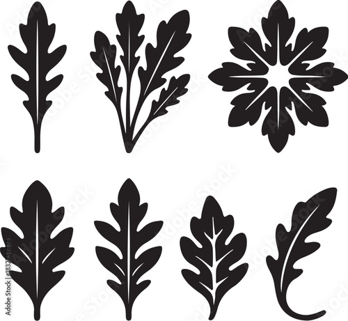 Arugula Leaf Silhouette Icon Set.eps