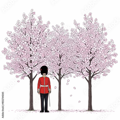 vector illustration of a British Royal Guard standing beside blooming cherry trees in spring
