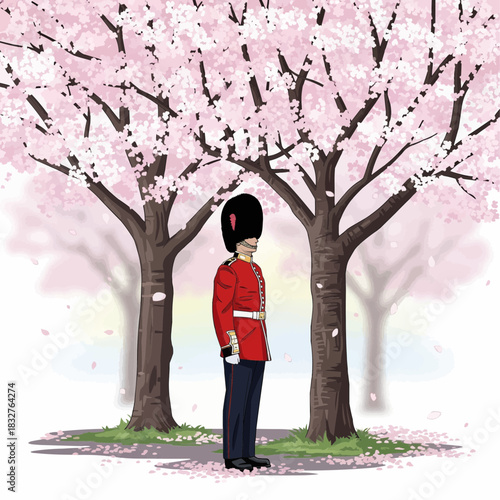 vector illustration of a British Royal Guard standing beside blooming cherry trees in spring