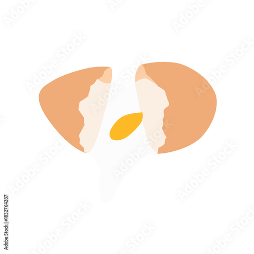 Chicken egg illustration. Broken egg illustration. Raw egg. Egg yolk illustration. Flat design of chicken egg. Chicken farm