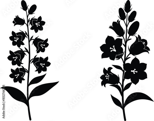Two black delphinium flower silhouettes on white background for botanical illustration