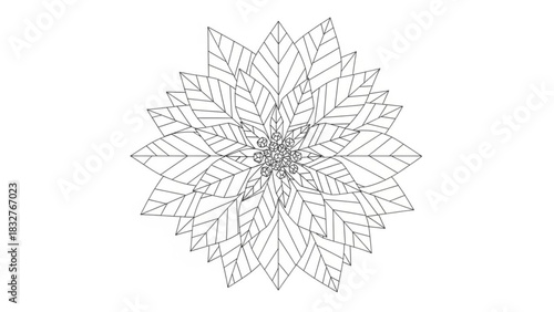 A detailed line art illustration of a poinsettia flower in full bloom showcasing its iconic star shaped petals and intricate leaf patterns against a clean white background