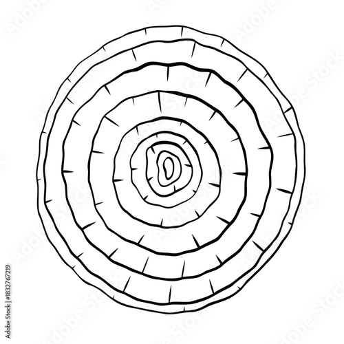 Onion slice, onion rings monochrome botanical fragrant vegetable drawing illustration. Isolated. Graphic hand drawn ink black and white vector. Good for cooking, medicinal, menu, garden, package