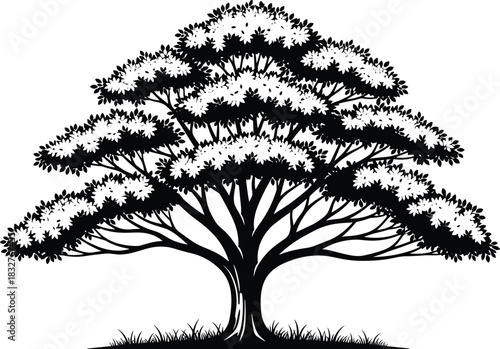 Beautiful, detailed black and white stylized tree vector illustration, a majestic, mature oak or broadleaf silhouette, symbolizing nature, growth, environment, and life, resting on a small patch of 